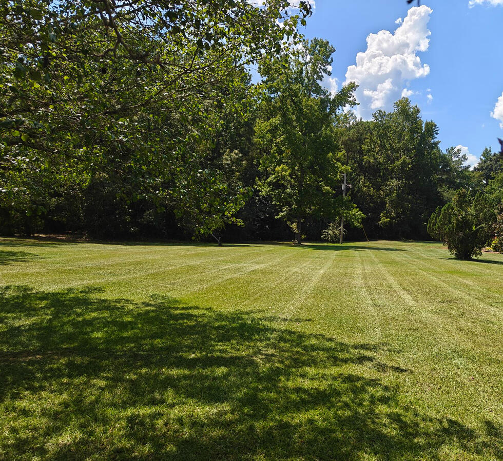 Professional Lawn Maintenance - Oglethorpe County