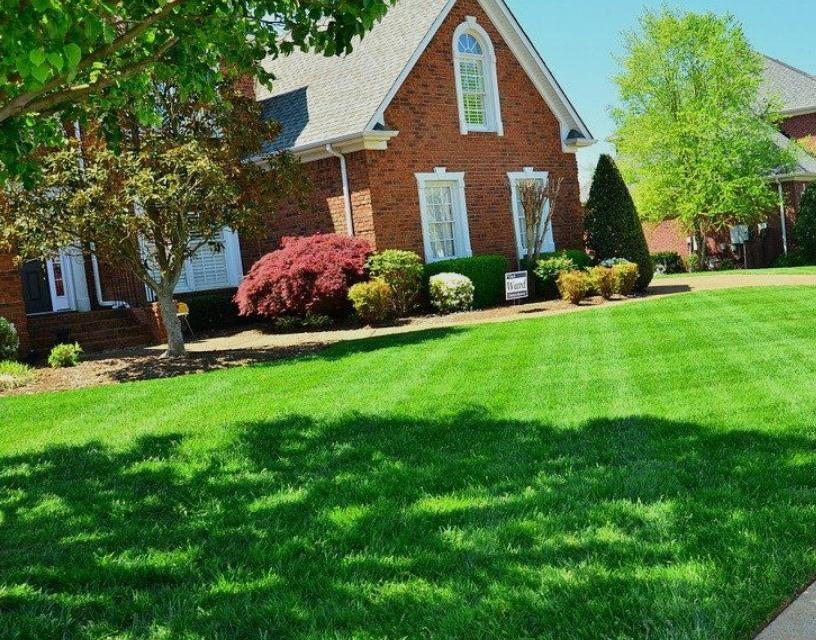 Professional Lawn Care in Oconee County, GA