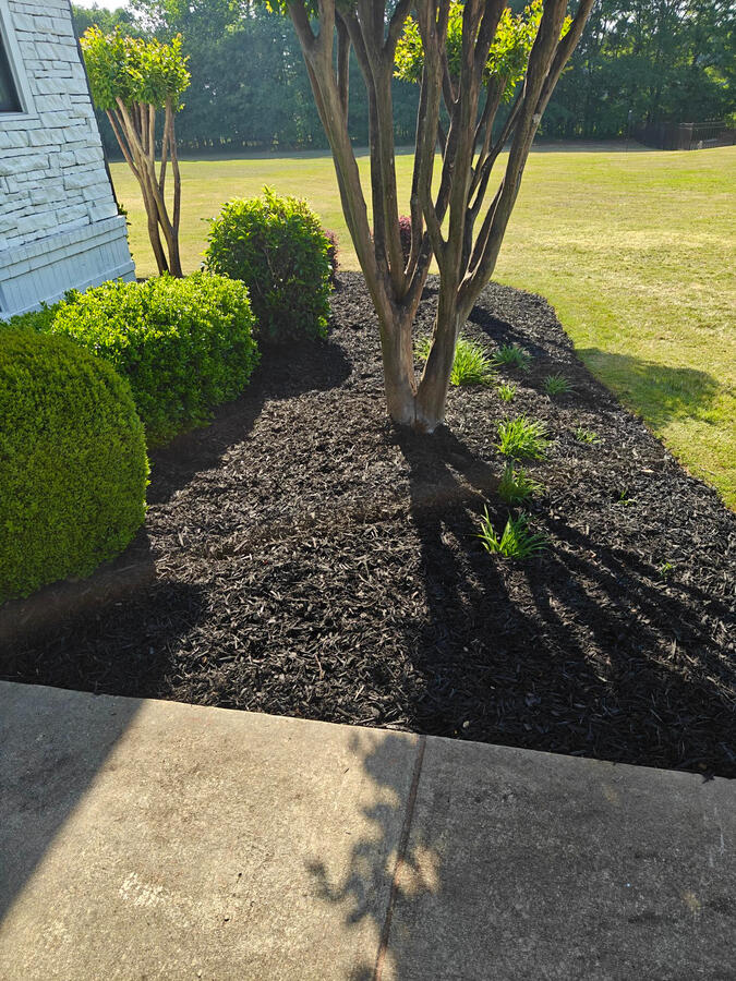 Fresh Mulch Installation & Bed Cleanup