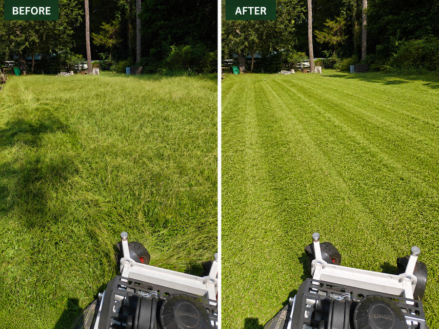 Overgrown lawn before & after Overgrown lawn before & after mowing by Heavenly Cuts Lawn Care